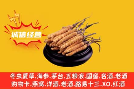 温州市龙湾回收冬虫夏草